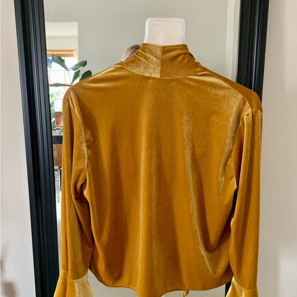 Rosemary Retro Velvet Tie Top - Picture 3 of 6